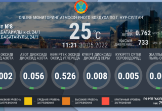 Отображение данных о загрязнениях окружающей среды